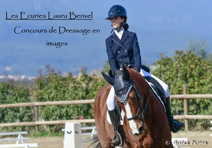 Concours de Dressage écuries Laura Benvel