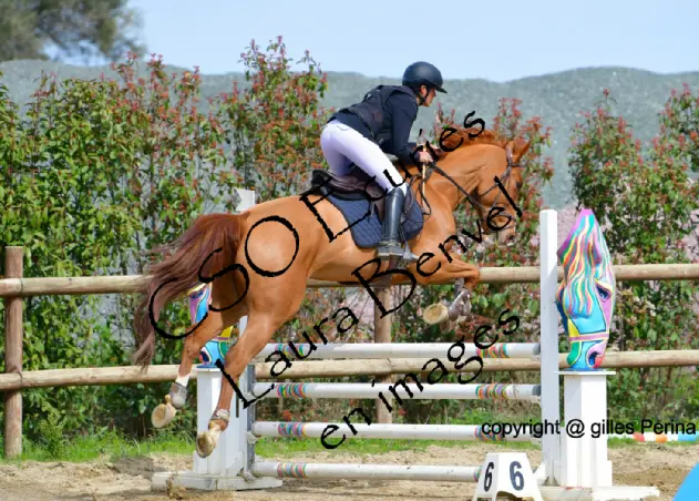 CSO Ecuries Laura Benvel
