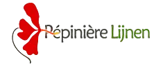 Peinière Lijnen